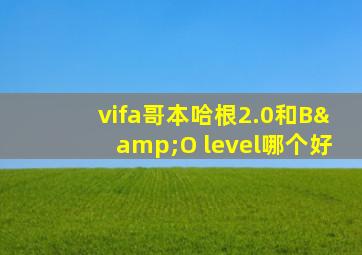 vifa哥本哈根2.0和B&O level哪个好